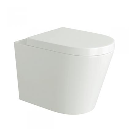 Back to wall toilet-315B
