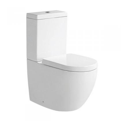 European close coupled toilet (318)