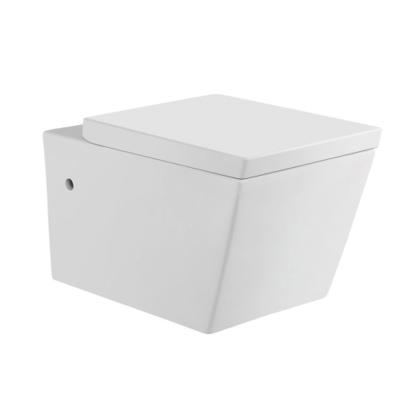 Rimless water efficient wall hung toilets